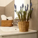 Terre D'amare Liguria Apartman